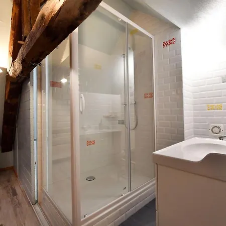 Loft Sous Les Combles - Loft Under The Rafter Apartment *