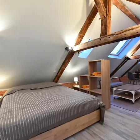 Loft Sous Les Combles - Loft Under The Rafter Rodez