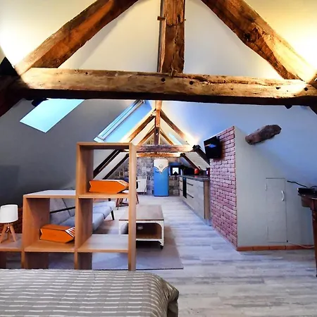 Loft Sous Les Combles - Loft Under The Rafter